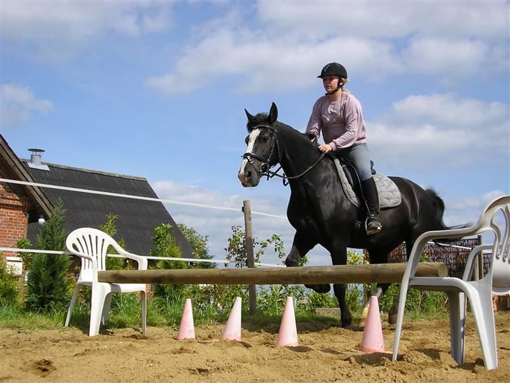 Anden særlig race Samba - vi springer lige for sjov<3 bare et lille et.. billede 1