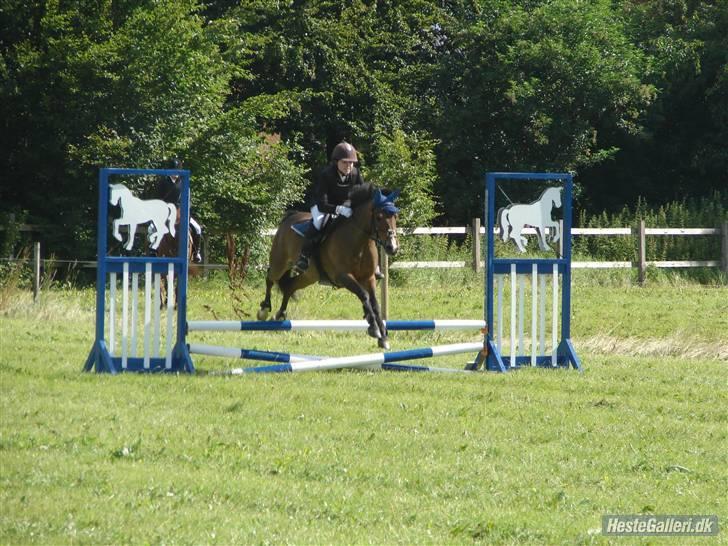 Anden særlig race Zorba<3 - til ponyugen i hammerum. han var bare sød... billede 20