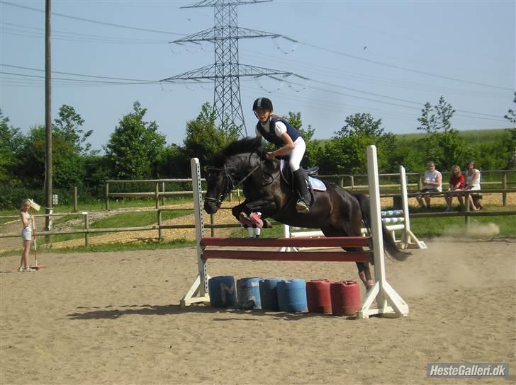 Anden særlig race Shiva <3 - Shiva og jeg i en LA hvor vi blev nummer 3. :) vores første LA. :D <3 billede 1