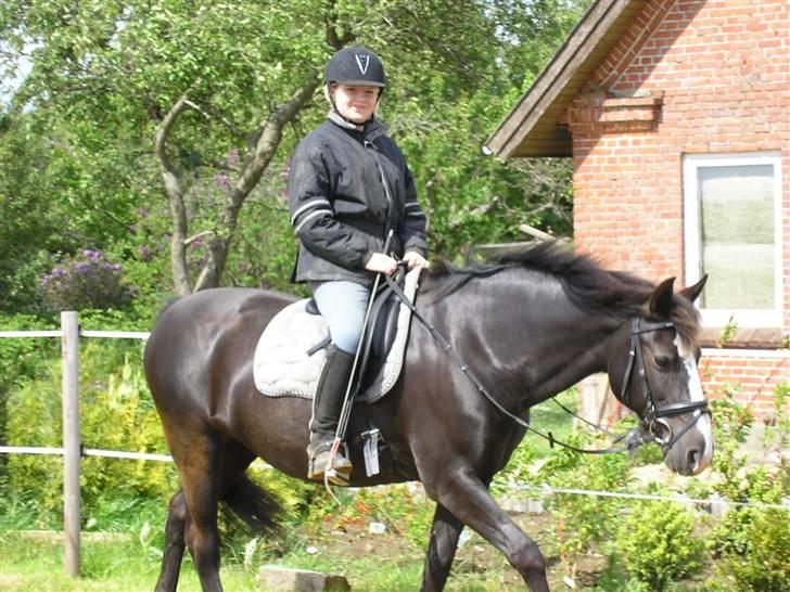 Anden særlig race Samba - miig og min lille skat<3 billede 6