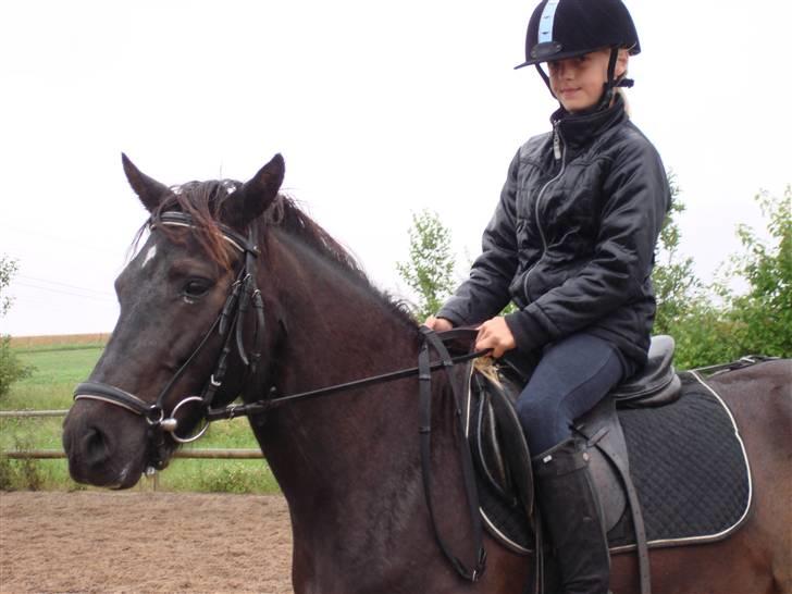 Anden særlig race Shiva <3 - Sig: Appelsin - Det virker hver gang! Shiva&Johanne = <3 ! billede 4