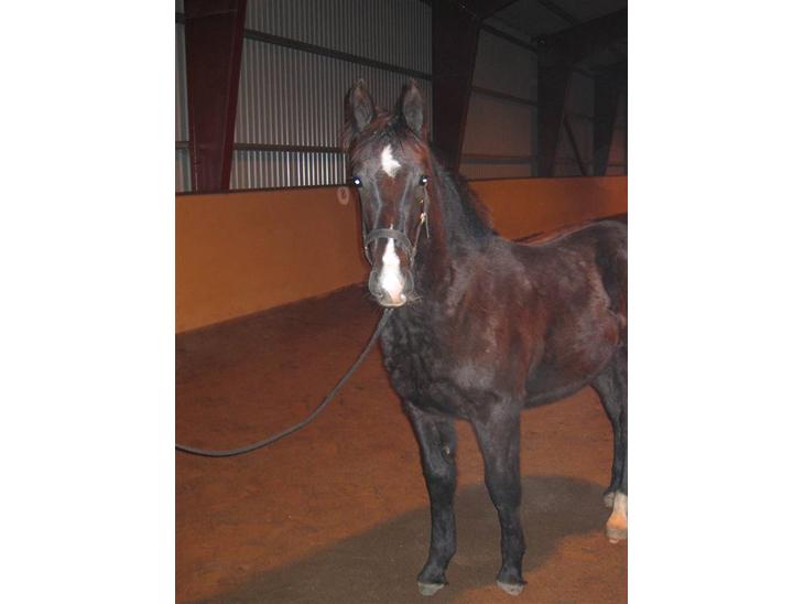 {{currentPhoto.altText}} billede {{currentPhoto.number}}