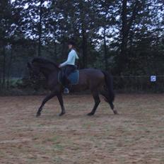 Holstener Dominique- *RIP*