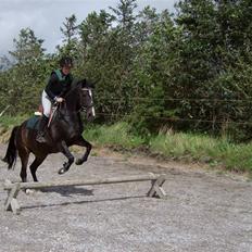 Anden særlig race Bethsie - Låne pony <3