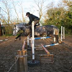 DSP Tino af Rosenholm t.part 