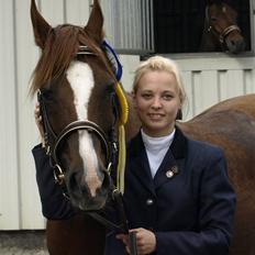 Arabisk fuldblod (OX) Tai Tazini OX 3124