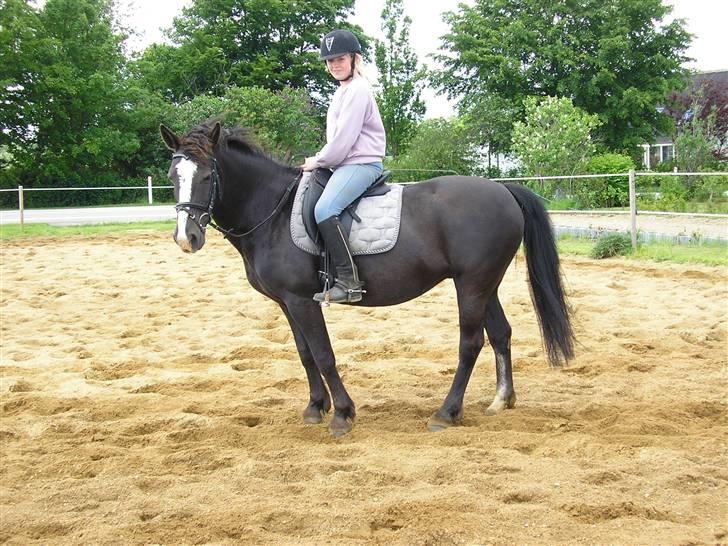 Anden særlig race Samba - "i må meget gerne tage billeder af miig, for jeg er sååå skøn", siger samba.. billede 8