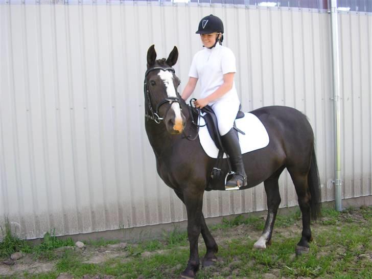 Anden særlig race Samba - " er det ikk snart min tur til at komme ind på banen Trine .?" billede 10