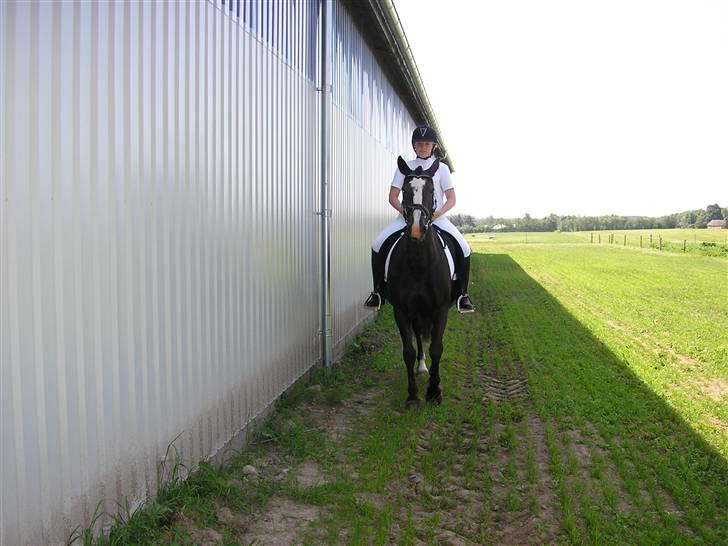 Anden særlig race Samba - KOM NU ! jeg gider ikk stå her mere.. billede 11