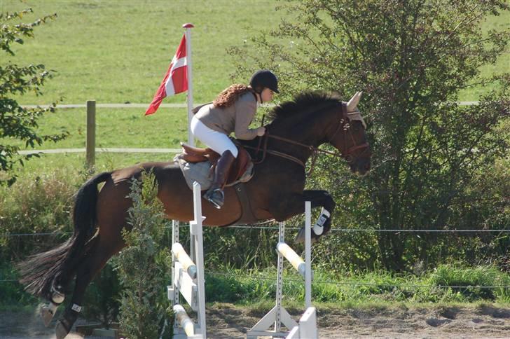 Hannoveraner Dirty (Døtse) - LB karlslunde rideklub (Høstspring) 2006 billede 5