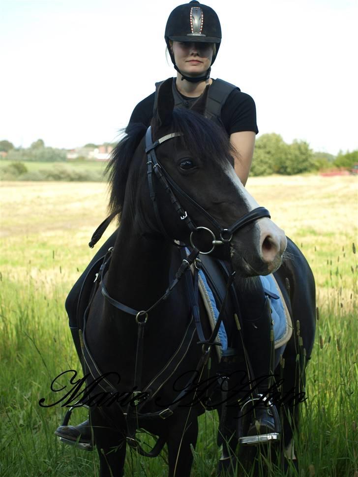 Anden særlig race Blue Eye´D Girl B-pony(x2) - 9#   Dejlige pony & mig ! <3 :) på tur sommer 09. ILY  Foto : Marie A. billede 11