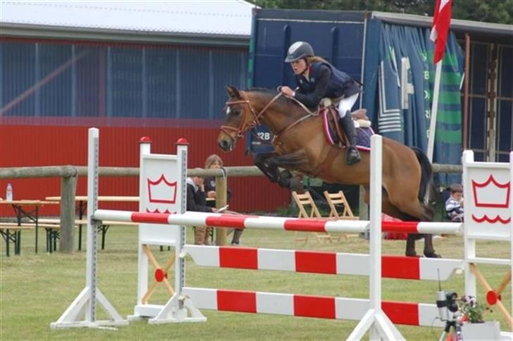 Hollandsk Sportspony Sheik  (SOLGT) - MA til B stævne Stevnstrup 2008 billede 3