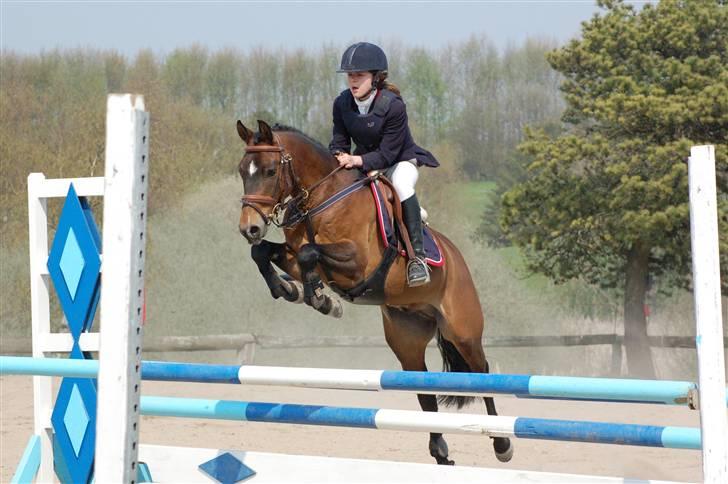 Hollandsk Sportspony Sheik  (SOLGT) - ALS C-stævne 2006 billede 4