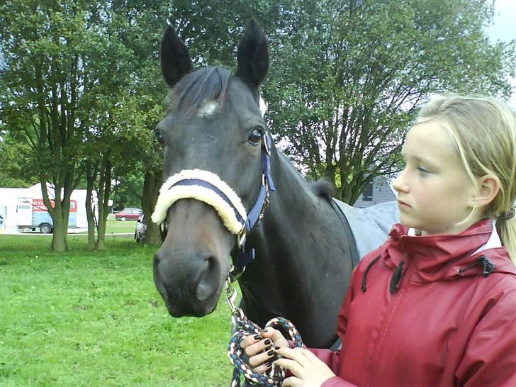 Traver Prins Hans(gammel Passer) - stævne, årslev / sdr. Nærå billede 5