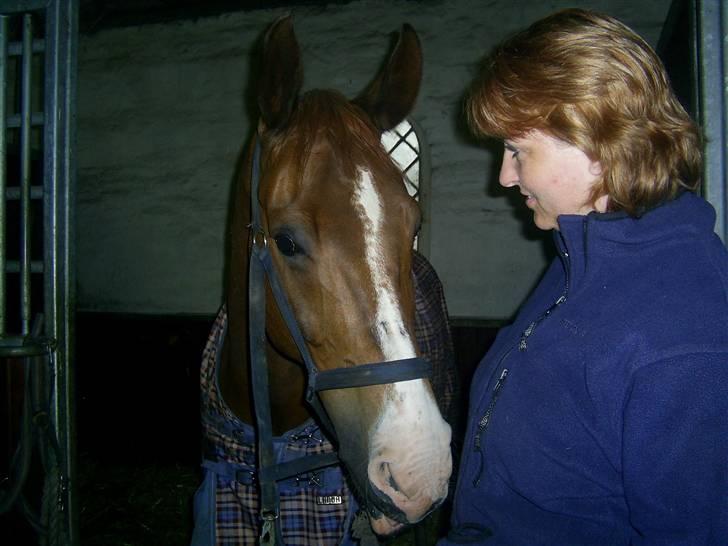 Dansk Varmblod johan gejlgård *RIP* - min mor og johan..samme hår farve! SKØRT billede 4
