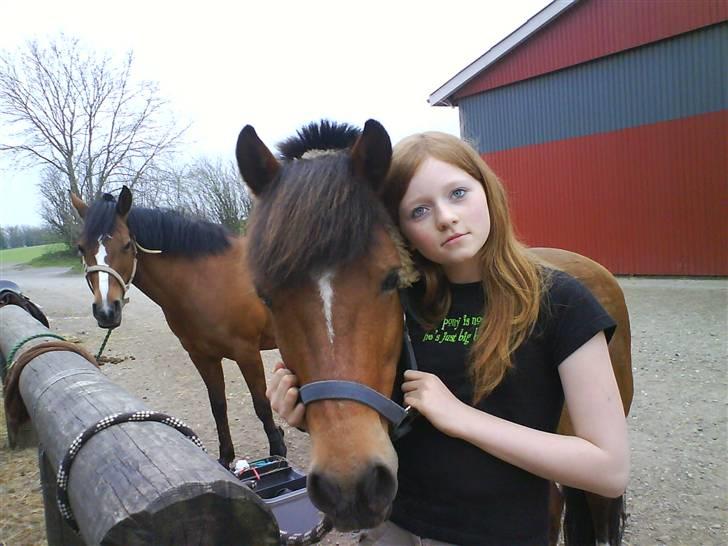 Anden særlig race Felix *SOLGT* - Mig og Felix. <33 billede 13