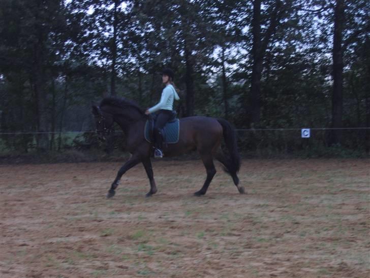 Holstener Dominique- *RIP* - Rider hjemme på vores egen ridebane (billedkvaliteten er ret dårlig) billede 3