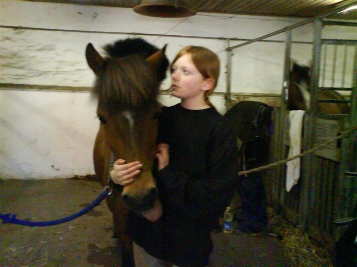 Anden særlig race Felix *SOLGT* - Felix og mig efter rideturen. <3 billede 20