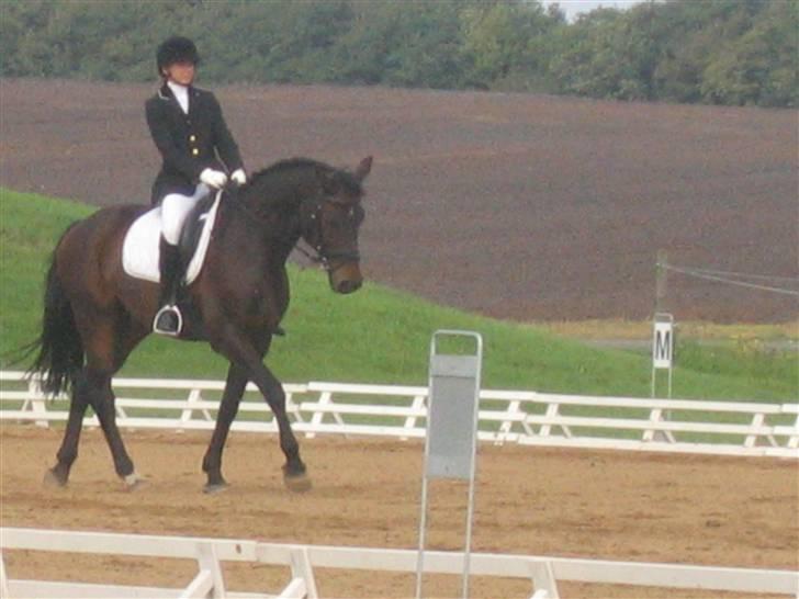 Holstener Dominique- *RIP* - Til stævne i Rind 2006 billede 6