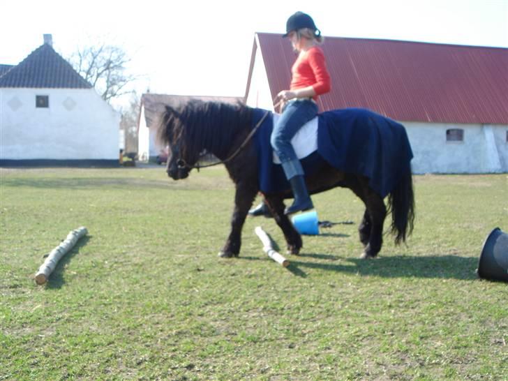 Anden særlig race Smuttie - nu skridter jeg lige med en af Helena´s venner som faktisk er bange or heste!   Foto: Mig billede 12