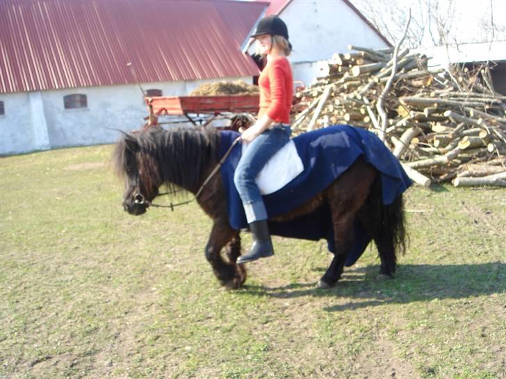 Anden særlig race Smuttie - Her skridter mig og nicoline så igen over bommene:D   Foto: Mig billede 13