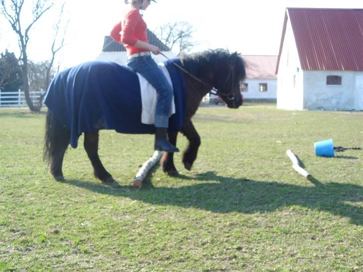 Anden særlig race Smuttie - og så fra den anden side heh....    Foto: Mig billede 14