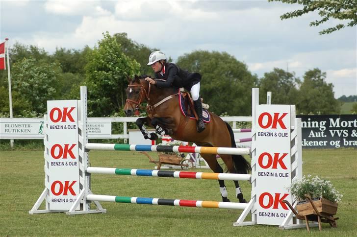 Hollandsk Sportspony Sheik  (SOLGT) - Silkeborg 2009 billede 11