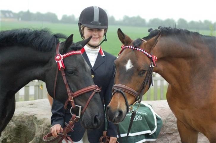 Hollandsk Sportspony Sheik  (SOLGT) - Dorit, Zelina og Sheik 2007 billede 12