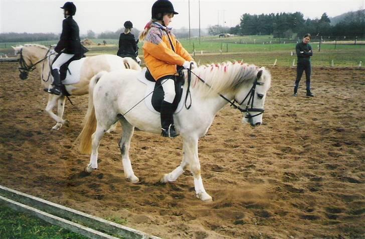 Anden særlig race Blanca - Opvarmning til vores første stævne, er hun ikk sød (© - Må ikke kopieres) billede 4