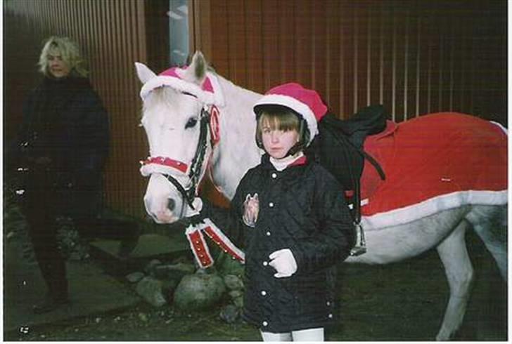 Anden særlig race Blanca - Julestævnet i 1999 (© - Må ikke kopieres) billede 7