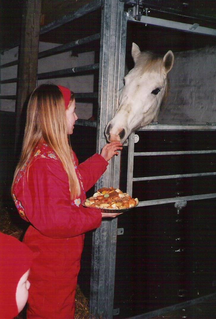 Anden særlig race Blanca - Blancas 6 års fødselsdag (© - Må ikke kopieres) billede 9