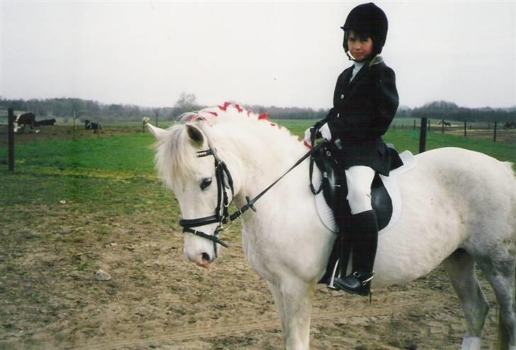 Anden særlig race Blanca - August 2002, står hun ikke bare fint (© - Må ikke kopieres) billede 11