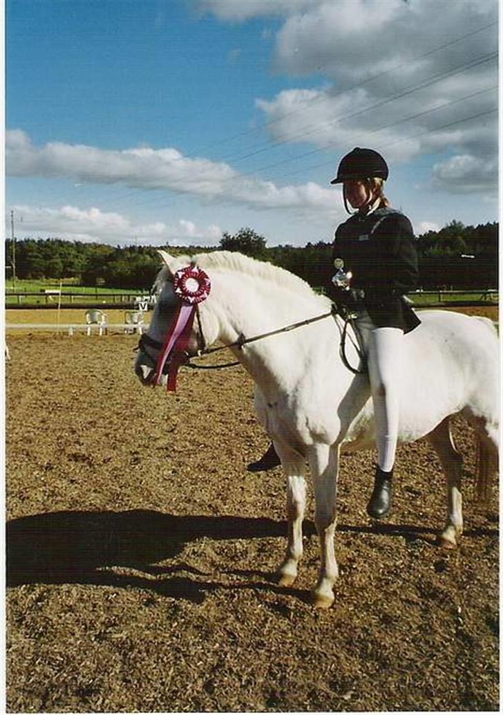 Anden særlig race Blanca - Den sidste dag jeg havde hende.. Vandt to første pladser, LD og LC.. Plus vi blev Klubmester 2003 for ponyspring.. Bedste dag i mit liv, herlig afsked <´3 (© - Må ikke kopieres) billede 14