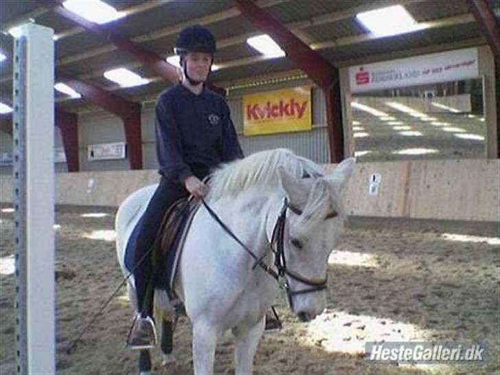 Anden særlig race Blanca - Da jeg var oppe at besøge Trine og Blanca, fik jeg en tur på den dejlige pony <3 (© - Må ikke kopieres) billede 16