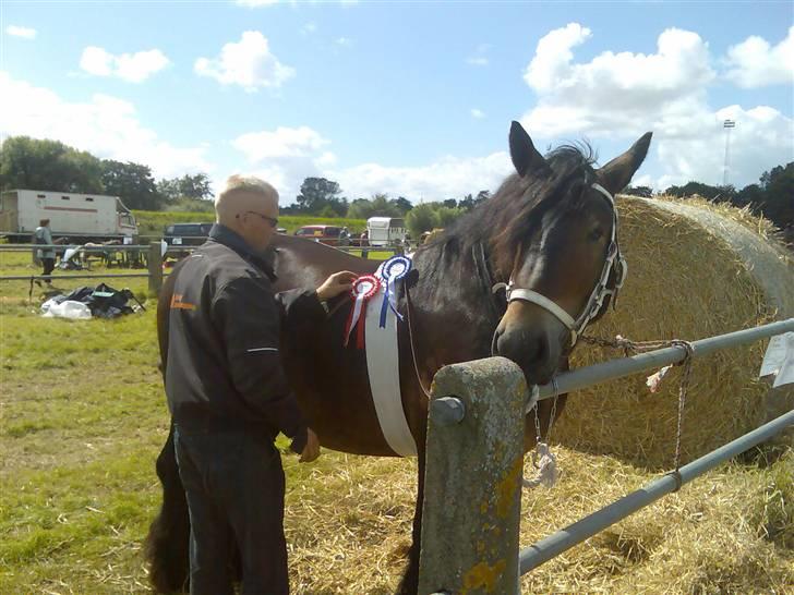 Jyde Mattias (Solgt) billede 20
