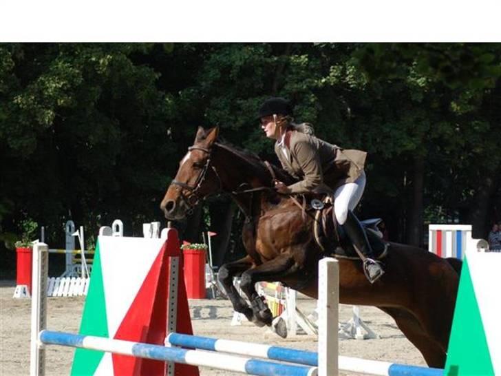 Anden særlig race Hyacinth  - Mig og Hysse i parken. Foto: Fam. Hulehøj billede 5