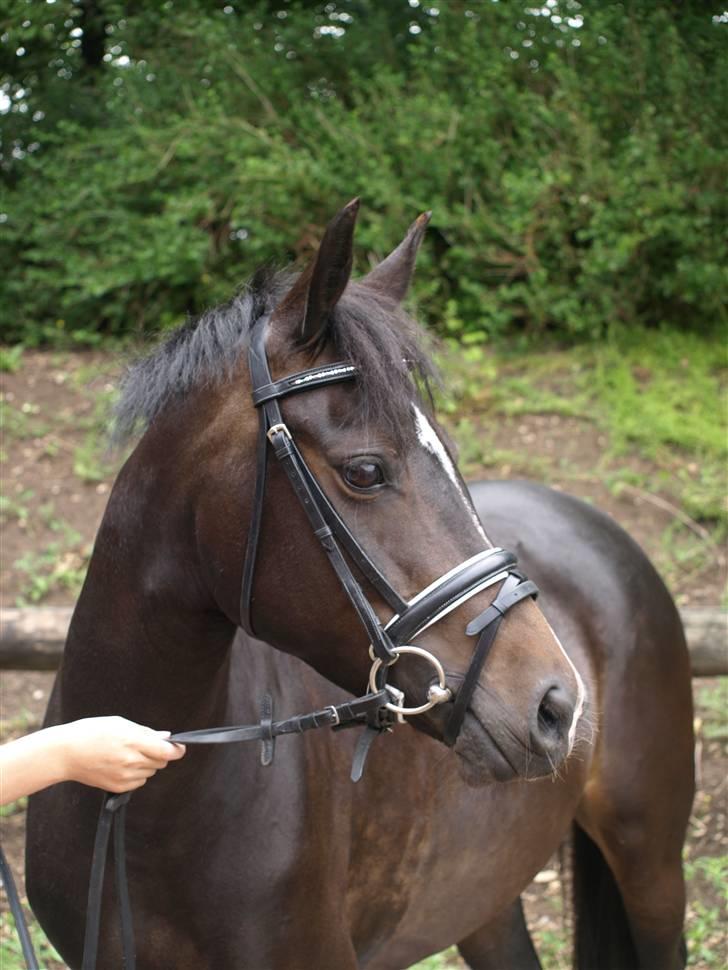 Anden særlig race Nannerupgaards Malou - Malou <3 Foto Sissel billede 10