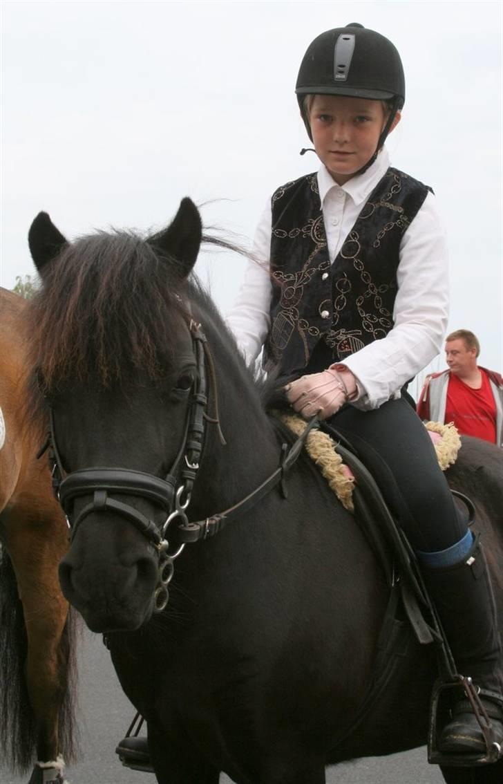 Shetlænder Tulle - Her ser hun en lille smule sød ud. Foto: Kim Bahnsen billede 6