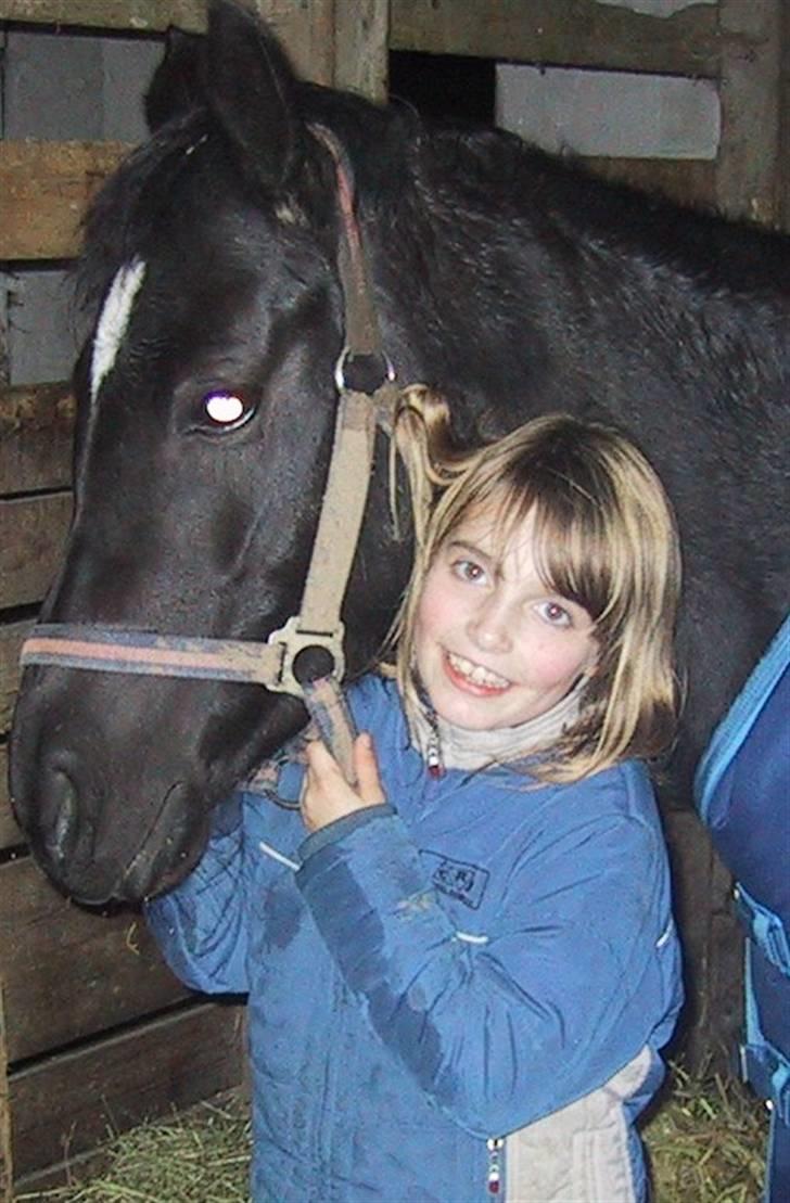 Welsh Partbred (Sec F) Wendy Van De Gezandebaan - ¨ Laura & Wendy, 11. november 2005. Deres første dag sammen.  billede 1