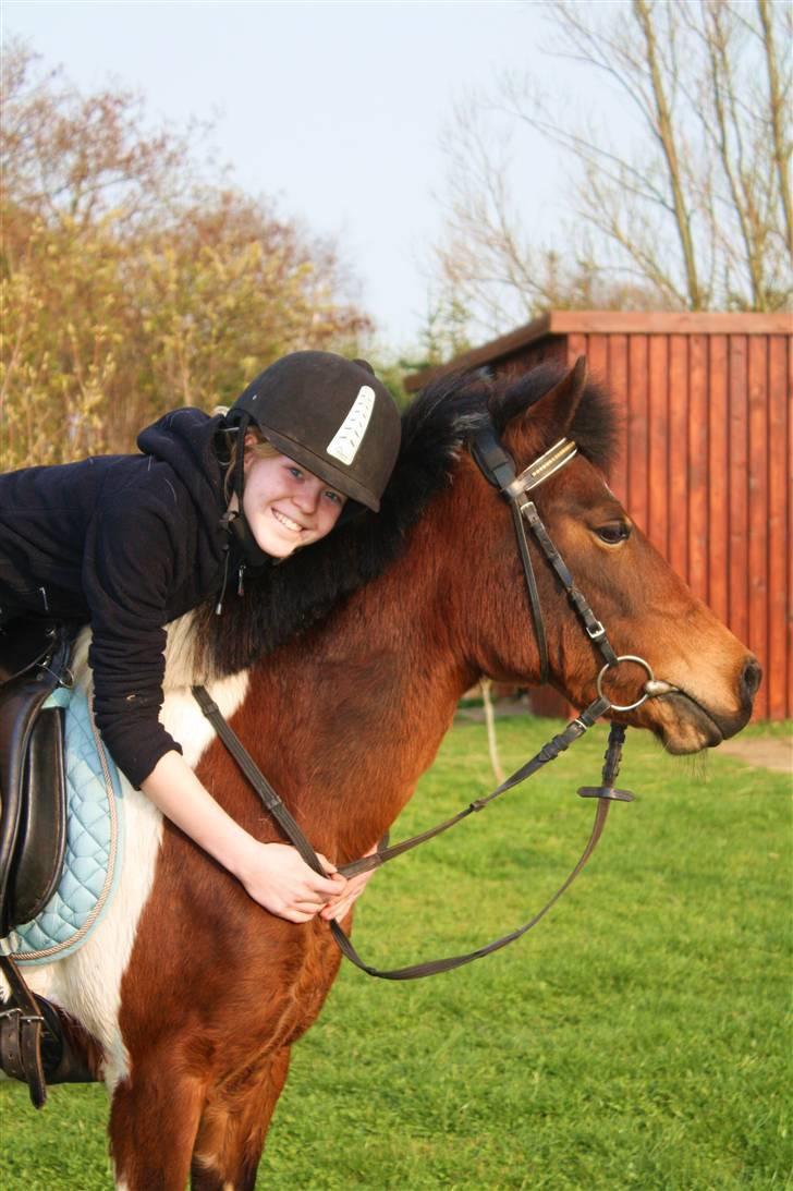 Pinto Indy  - Mig og Indy lige kommet hjem fra langtur på 10-15 kilometer. <3 billede 15