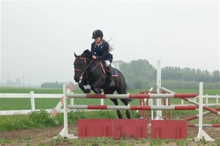 Anden særlig race Toxic Daisy (SOLGT) - Zelina og Dorit billede 6