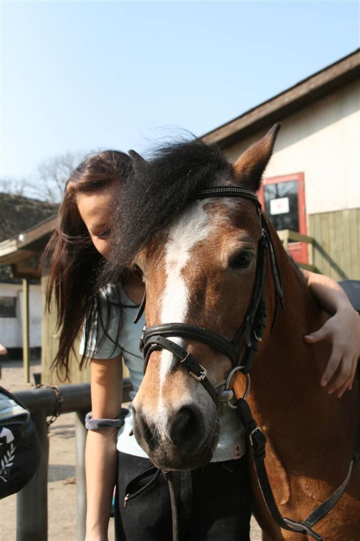 Anden særlig race Prins <3 - savner de tider alt for meget  :´/ <3 (gamle part ) billede 11