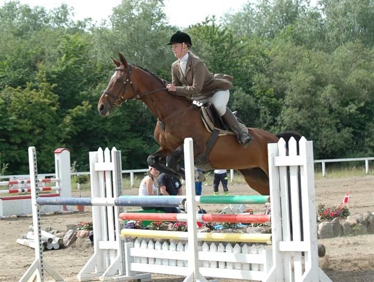 Anden særlig race Hyacinth  - Den som rigtig mange havde problemer med:) Foto: HGRK´s Stævne Fotograf billede 8