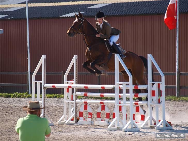 Anden særlig race Hyacinth  - Hopsa. Foto: Mathilde Hansen billede 11