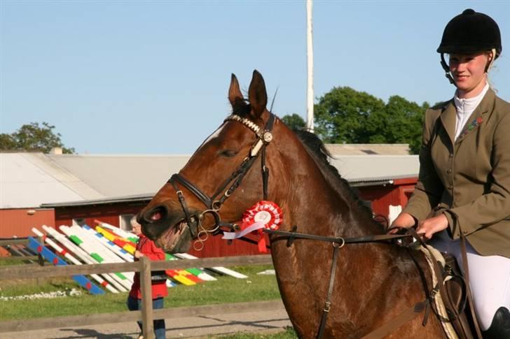 Anden særlig race Hyacinth  - Nr. 1 LA KRK. Foto: Kim Bahnsen billede 12