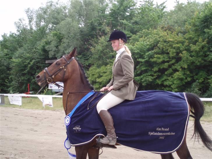 Anden særlig race Hyacinth  - Ret irriterende at hun lige skulle vise noget af sin flotte (Host) underhals. Foto: Helene Nielsen billede 14