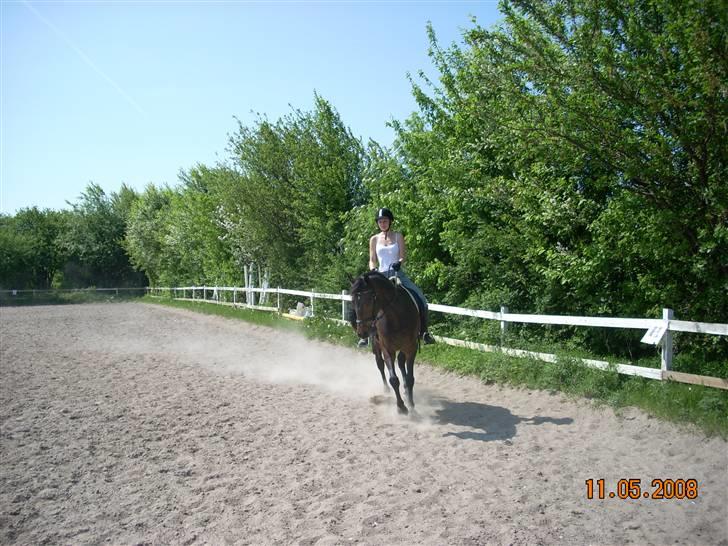 Anden særlig race Jasmindine Dandy - Træning på banen. Jasmin er lige fyldt 6 år. billede 17