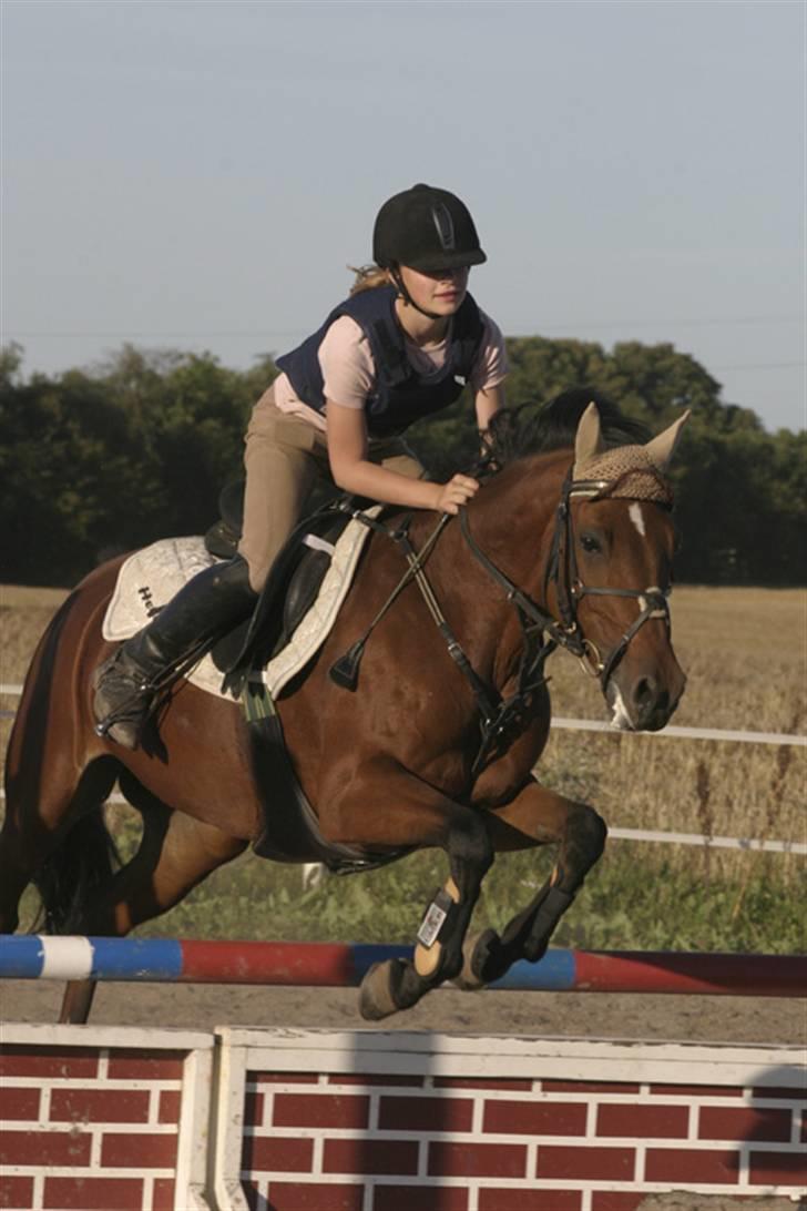 New Forest Opbroeks Mayday (solgt) - Velkommen til Mayday. billede 1