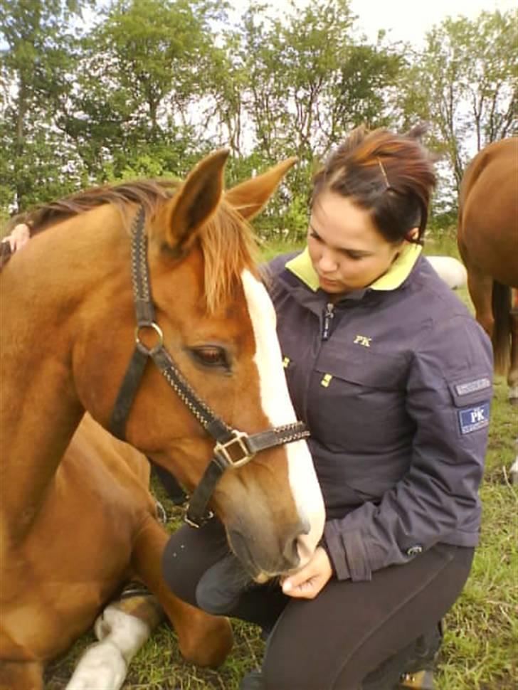 Anden særlig race Paw den dejlige...<3 - ja han er en rigtig kælepot billede 13