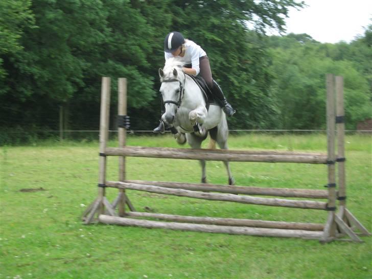 Anden særlig race Casper  - Søster springer Casper:) billede 14